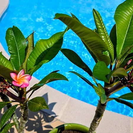 D Hotes Leonie Bed & Breakfast Druillat